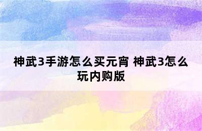 神武3手游怎么买元宵 神武3怎么玩内购版